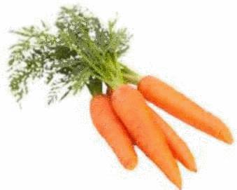 huile essentielle de carotte