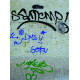 nettoyant-anti-graffiti-graffi-guard-2030-ecologique-toutpraitque