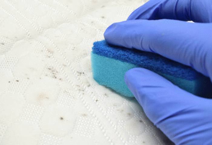 comment enlever la moisissure sur un tissu