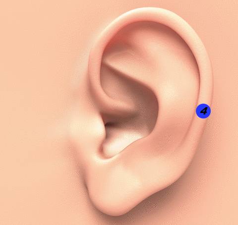 Calmer la douleur avec une pince à linge et un coton-tige sur l’oreille Acupression-4-oreille-pincer-oreille-pince-%C3%A0-linge-point-4