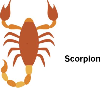 signe astrologique scorpion