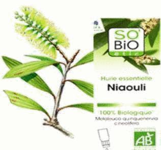 huile essentielle niaouli